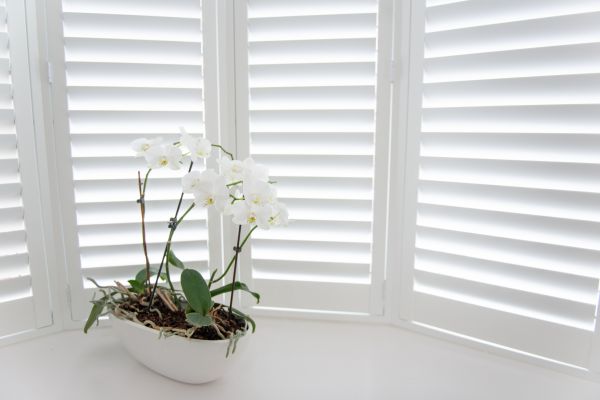Window Shutter Replacement
